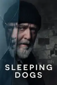 Sleeping Dogs (2024) - Film Streaming HD